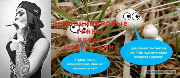 apvp Аркадак