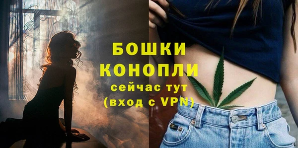 apvp Аркадак