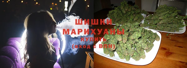 apvp Аркадак