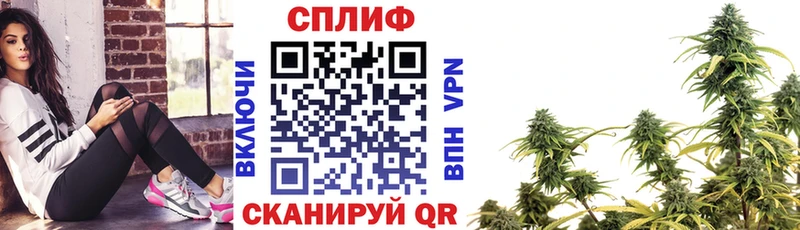 где можно купить наркотик  Няндома  ссылка на мегу онион  Канабис марихуана 